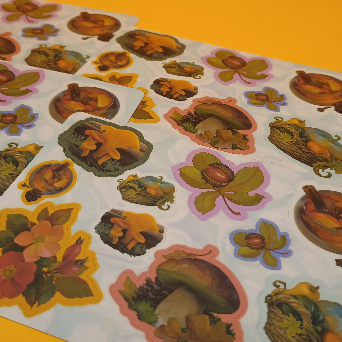 Autumn Vibes Sticker Sheet || 4x6in 10x15cm