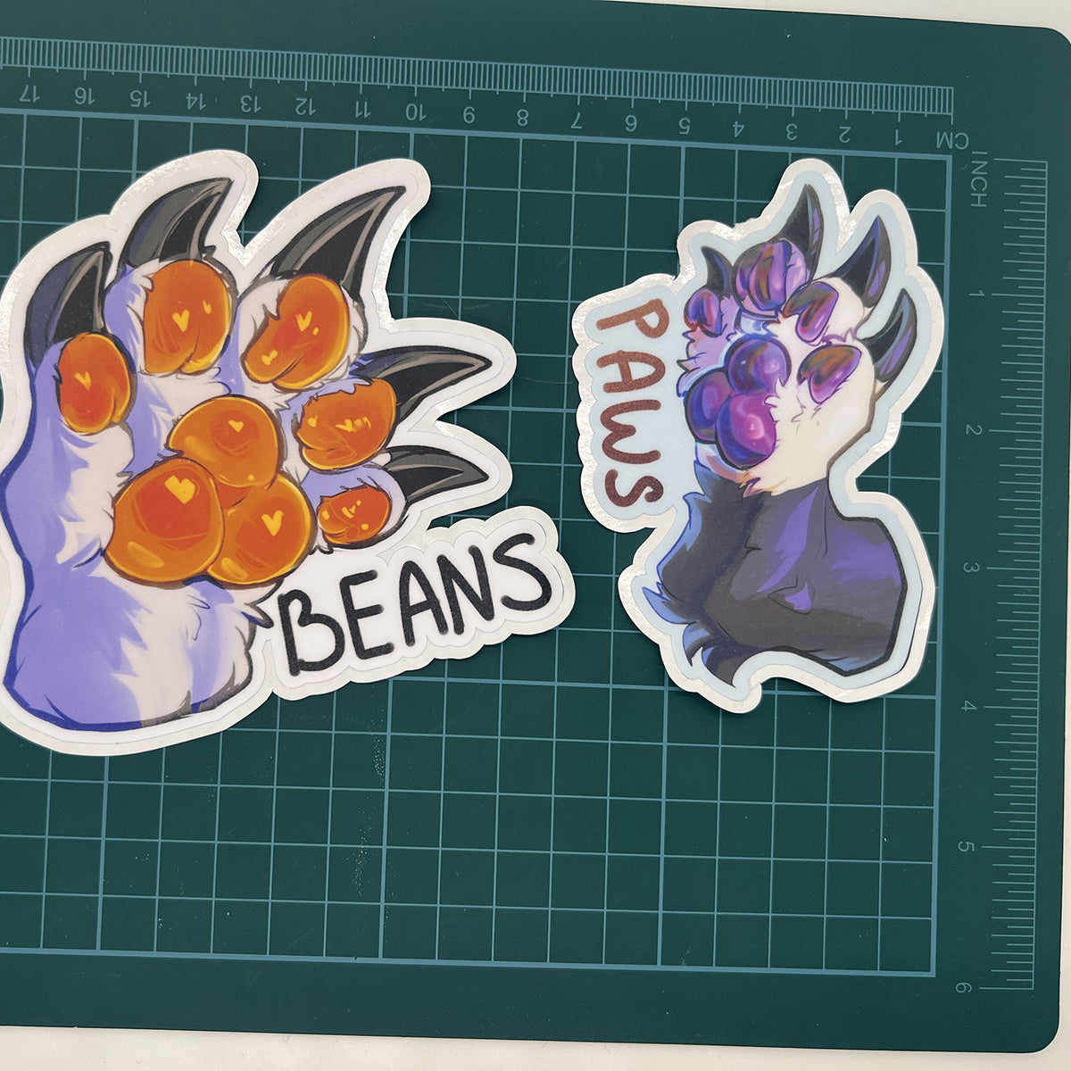 Beans Paws Vinyl Sticker: Water Resistant 4inch | 10cm